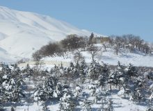 سرما و یخبندان تا پایان هفته در البرز ماندگار است