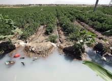 اینجا بیماری می‌کارند!