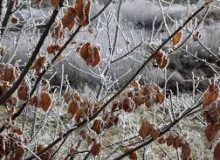 یخبندان صبحگاهی در البرز تا انتهای هفته