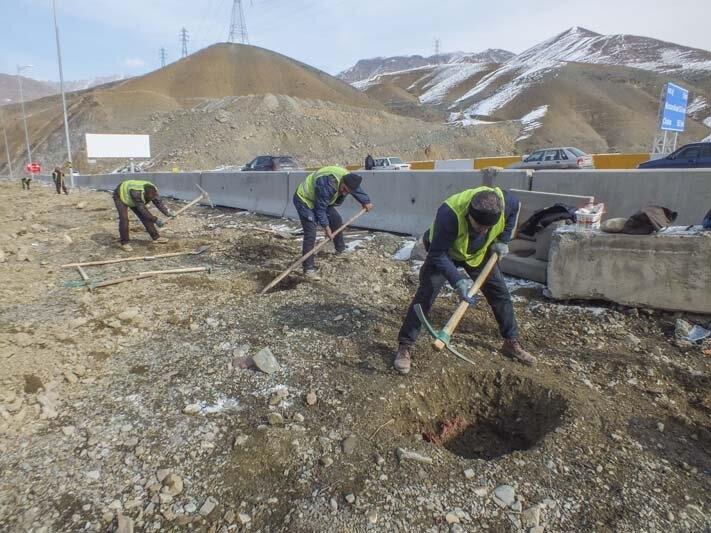 آغاز احداثِ کمربندی سبز و جنگلکاری در حاشیه اتوبان همت و بزرگراه شمالی