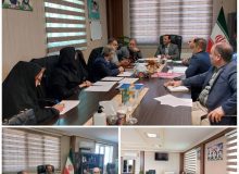 نظرآباد، کمترین تخلف توزیع آرد خارج از سهمیه البرز را دارد