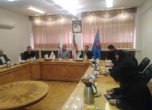 ناشران اصیل کشور از کتاب سازی پرهیز کنند