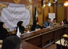 رابطین دفاتر ستادی و فرمانداری های استان آموزشی تخصصی دیدند