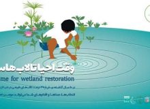 پیامی که مرگ تالاب صالحیه و دادخواهی برای نجات آن را فریاد می زند