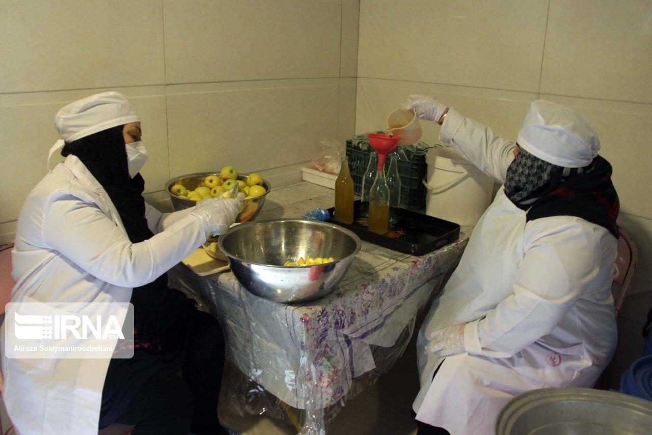 تمرکز نهادهای حمایتی البرز بر خانوارهای بدون سرپرست