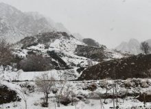 البرز دوباره برفی می‌شود