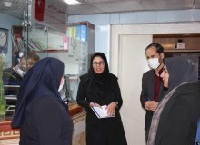 معاون غذا و دارو دانشگاه سرزده از داروخانه های سطح استان بازدید کرد