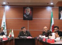 نشست با سمن ها و فعالان  محیط زیست استان به مناسبت روز تالابها