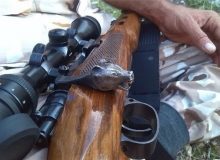 شکارچی متخلف در طالقان دستگیر شد