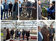 افتتاح یک واحدگلخانه ای سبزی و صیفی در سرحدآباد شهرستان فردیس