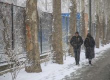 زیبایی‌های طبیعت برفی در پارکها و بوستان های کرج