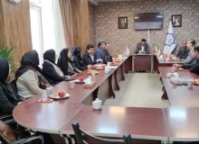طرح مشاورین خانواده در مهستان کلید خورد