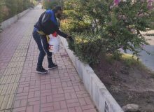 اجرای طرح کنترل جمعیت حیوانات موذی در فردیس