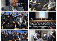 شورای مشورتی بانوان صرفا” مسائل بانوان را در حوزه های مختلف پیگیری می کند