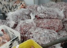 ضبط و معدوم سازی بیش از ۳۷۰ کیلوگرم آلایش مرغ صنعتی در شهرستان نظرآباد