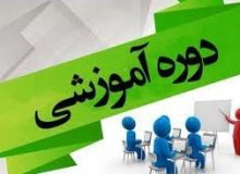 زن در خانواده نقش اساسی و محوری دارد