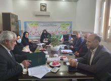 سواد آموزان البرز در طرح ملی کاشت یک میلیون درخت مشارکت می کنند