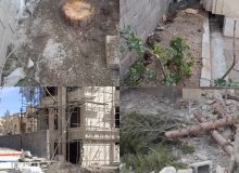 با متعرضین به حقوق شهر و شهروندان قاطعانه برخورد خواهیم کرد