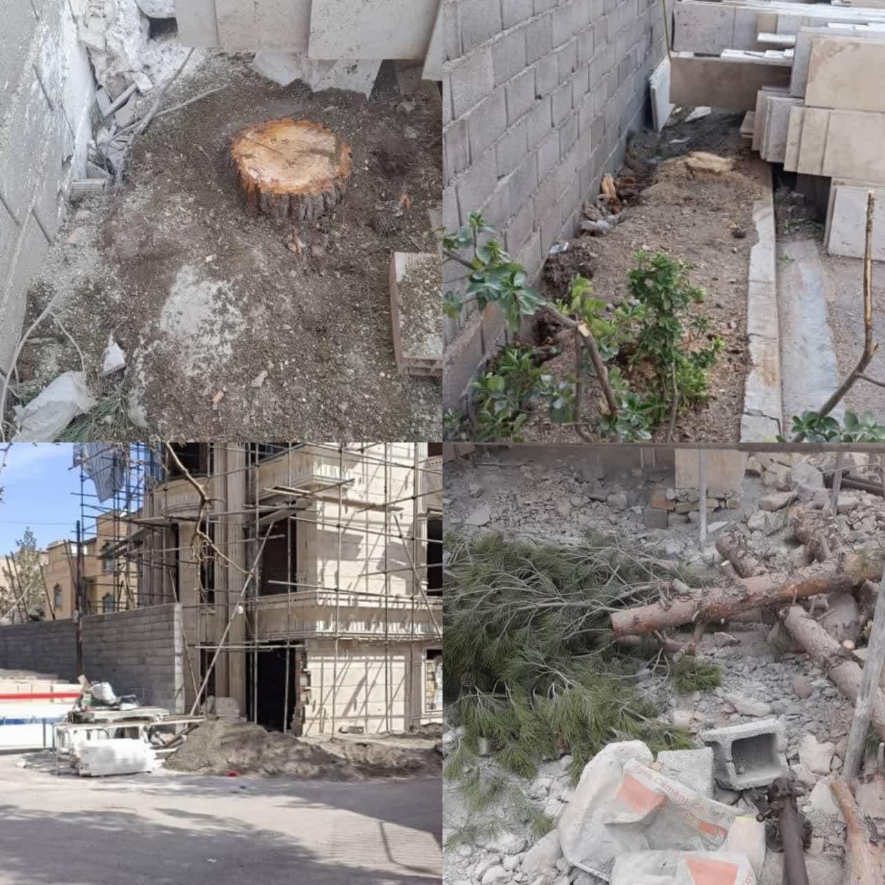 با متعرضین به حقوق شهر و شهروندان قاطعانه برخورد خواهیم کرد