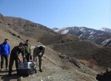 دو بهله پرنده شکاری به مناسبت روز جهانی حیات وحش به آغوش طبیعت بازگشتند