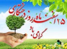 پیام مدیرکل تعاون ،کار ورفاه اجتماعی استان البرز به مناسبت روز درختکاری