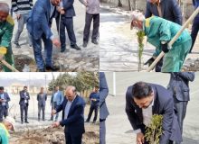 آیین گرامیداشت هفته ی منابع طبیعی و روز درختکاری در شهر مِهستان برگزار شد