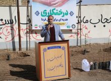 حفظ و حراست درختان از جایگاه بالایی برخوردار است