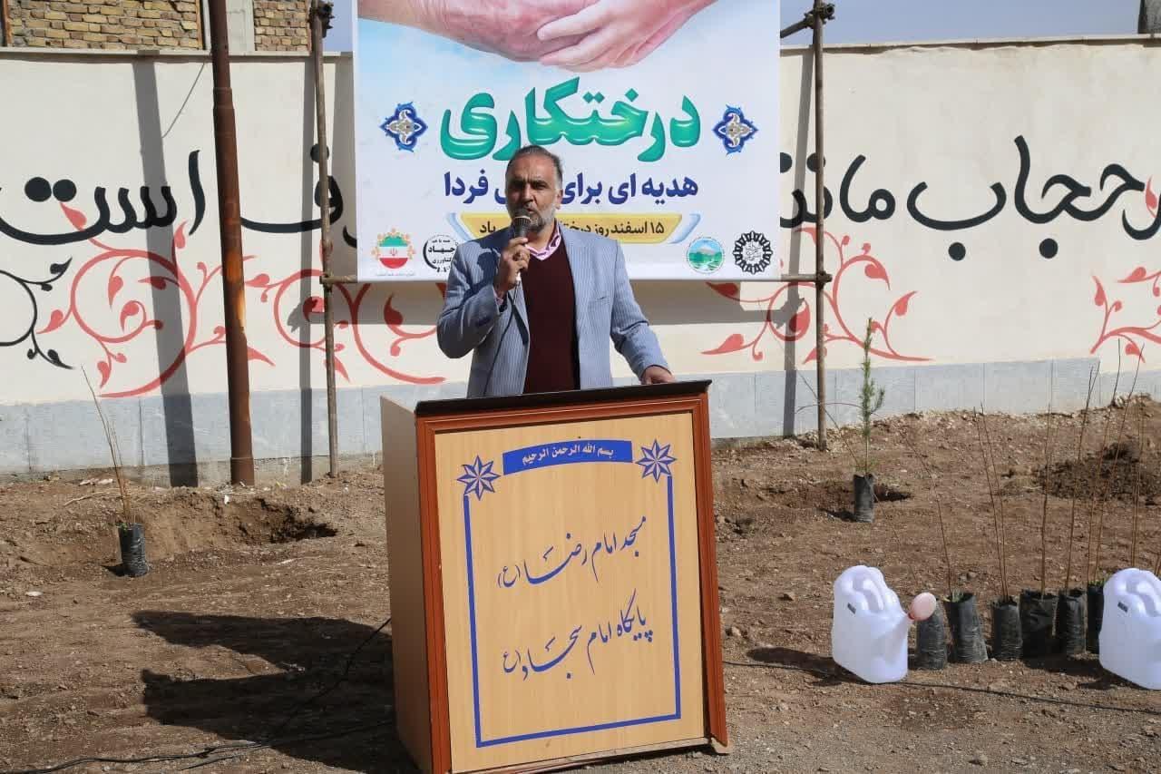حفظ و حراست درختان از جایگاه بالایی برخوردار است