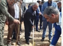 همه ی ما در تحقق طرح کاشت یک میلیارد درخت مسئولیم