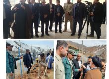 کاشت درخت بمناسبت هفته درختکاری در شهرستان طالقان