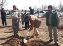 گرامیداشت روز درخت کاری در نظرآباد