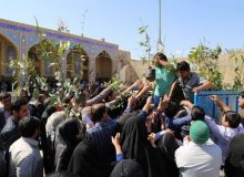 توزیع ۴۵۰۰ اصله نهال در بین نمازگزاران نماز جمعه این هفته محمدشهر