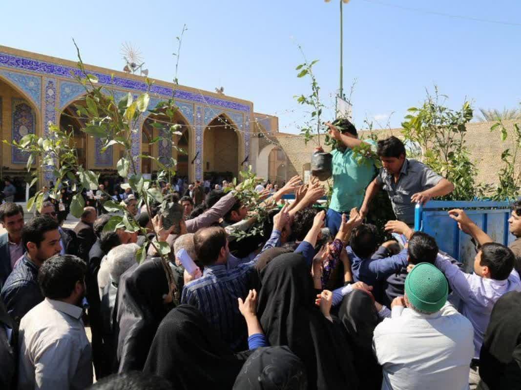 توزیع ۴۵۰۰ اصله نهال در بین نمازگزاران نماز جمعه این هفته محمدشهر