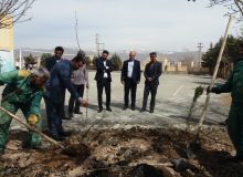 کاشت درخت در مدارس سمپاد البرز