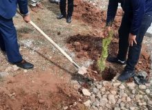 حضور سرپرست شبکه بهداشت و درمان شهرستان طالقان در برنامه درخت‌کاری