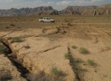 برخی طرح های توسعه ای به داشته های زیستی کشور آسیب وارد کرده است