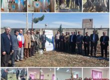 کاشت ۱۰۰ اصله نهال در دانشگاه آزاد اسلامی واحد نظرآباد