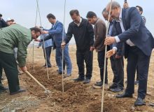 کاشت ۲۰۰ اصل نهال در مجتمع فرهنگی و گردشگری کوثر به یاد شهدای شهر کوهسار