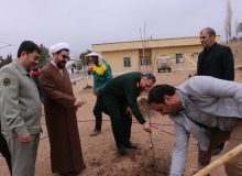 کاشت ۴۴ هزار اصله نهال مثمر و غیرمثمر در لشکر عملیاتی ۱۰ سیدالشهدا البرز