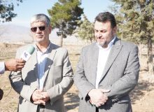 ایجاد ۸۵۰۰ هکتار فضای سبز در فاز عملیاتی شهرک های صنعتی کشور