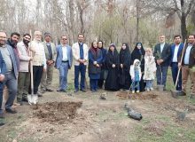 گرامیداشت روز شهدا با کاشت بیش از۱۰۰ اصله نهال در بوستان جهان نمای البرز