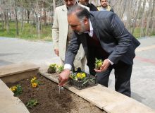 آغاز کاشت بیش از سه هزار گلدان گل فصلی در اشتهارد