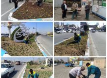 کاشت ده هزار بوته گل فصلی در آستانه نوروز در معابر شهر گلسار