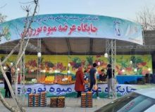 آدرس جایگاه‌های موقت عرضه میوه شب عید اعلام شد