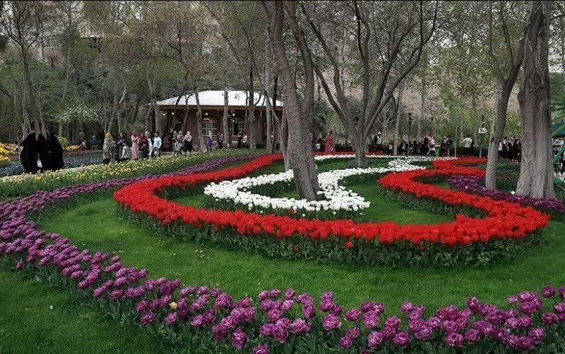 جشنواره لاله های کرج باید برند ملی در کشور شود