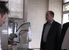 بازدید میدانی معاون اقتصادی استاندار البرز و مدیرکل غله از نانوایی های کرج