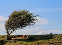 پیش بینی وزش باد شدید و بارش برای  البرز