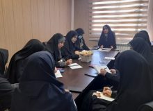 اولین نشست مشترک مشاوران امور زنان و خانواده فرمانداری ها و روسای کار گروه های هفتگانه ذیل شورای اندیشه ورز