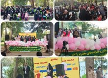 برگزاری مراسم روز عفاف وحجاب  شهرستان نظراباد