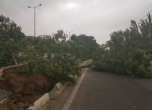 وزش تندباد و بارش رگباری برای البرز پیش بینی شد